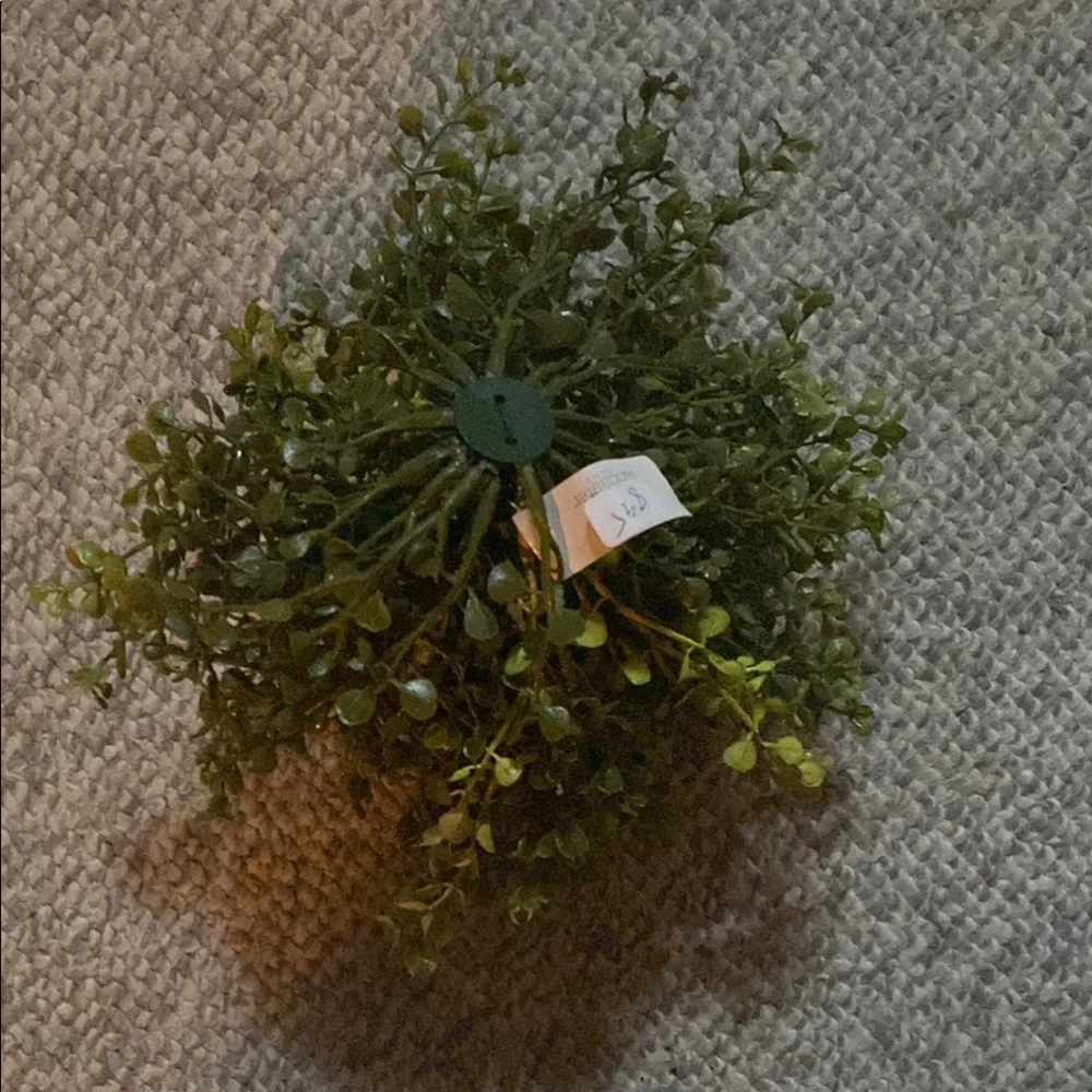 COPY - Green Eucalyptus Faux Floral Accent with Natural Wild-Growing Appearance